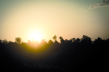 Coucher de soleil sur la forêt
