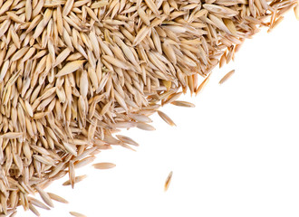 oats macro background