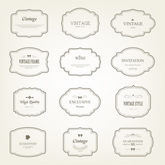 Set of  label and elements for design vintage style. Vintage frame decoration.