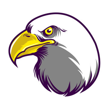 eagle head mascot logo for sports 