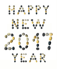 Happy New 2017 Year.