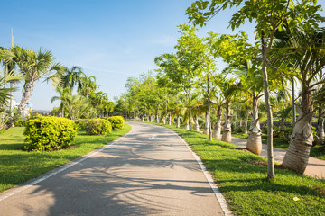 Landscape with jogging track at green park , Jogging track in the park and no people