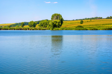 Photo of nature around beautiful blue lake