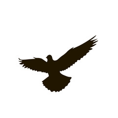 Silhouette of dove isolated on white backbround