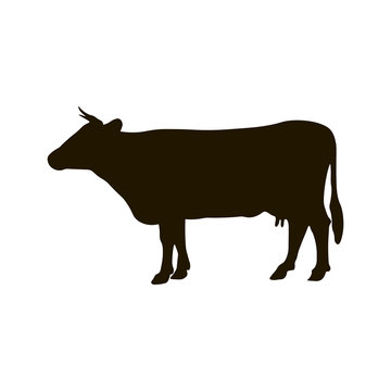 Silhouette of cow isolated on white backbround