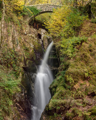 Flowing waterfall with old packhorse bridge and Autumn foliage, Aira Force, Lake District, UK.