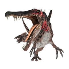 3D Rendering Dinosaur Spinosaurus on White