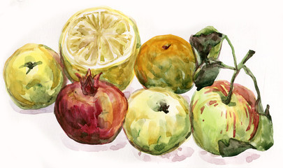 Pomegranate, lemon, Apple, tangerine on a white background. Watercolor painting - 127301967