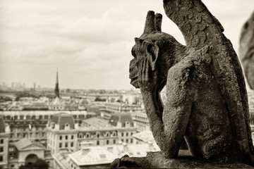 Pariyż Notre Dame Cimera 3