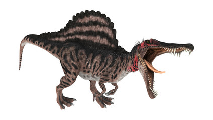 3D Rendering Dinosaur Spinosaurus on White