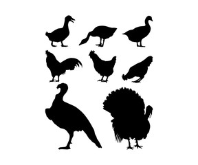 Silhouette Black Duck Rooster Chicken Turkey Animal Farm Icon Vector Logo Design Set