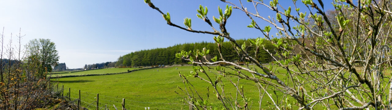 Countryside Farm Panorama