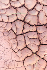 Land with dry and cracked ground.