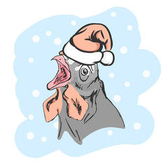 Cock in the Santa hat