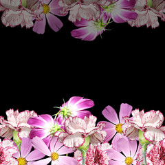 Beautiful floral background with pink carnations and kosmeya 