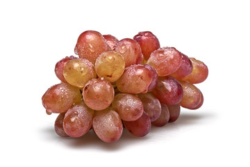 One sort of grapes freshly washed