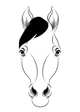 Vector outline beautiful horse portrait
