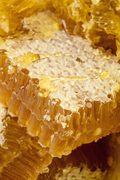 Delicious and exquisite yellow honeycomb closeup macro shot with shallow DOF