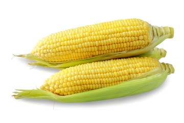  corn isolated on white background.
