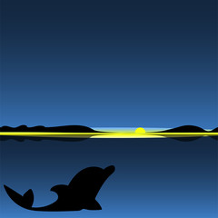 Dolphin sea animal night landscape