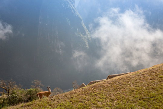 Macchu Picchu