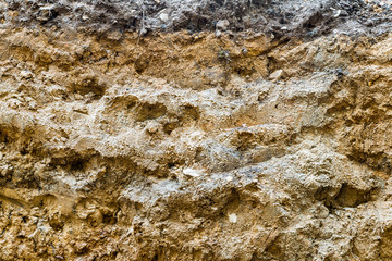 Querschnitt eines Bodens