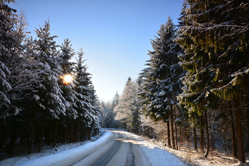 Winter landscape with forest and road