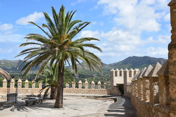 Mallorca Majorca Arta  © Manuel