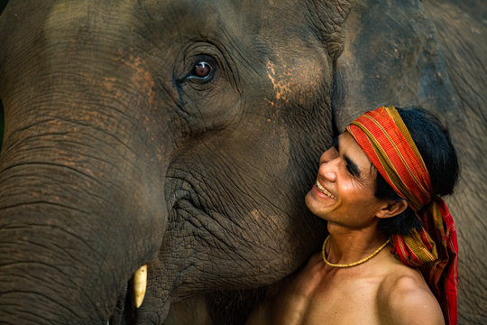 Close Up Face Elephant And Mahout Man