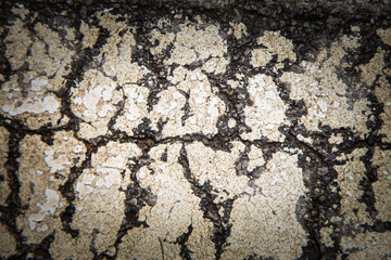 Closeup peeling paint of traffic line background
