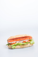sandwich or health sandwich on the background.