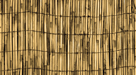 Texture of old yellow wall of bound bamboo