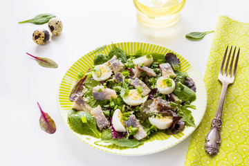 Pickled herring, mix of green salad, onion, boiled quail eggs and grated parmesan cheese with lemon juice and olive oil. White table.
