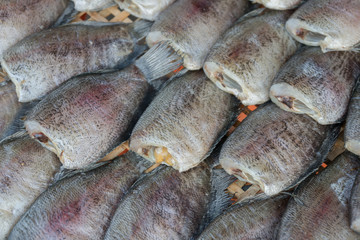 drying snakeskin gourami fishs