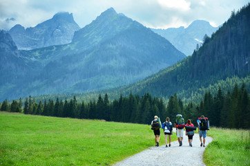 Fototapeta na wymiar Young tourist walking in group together on beautiful natural road surrounded in green meadow and beautiful big mountains. Original touristic wallpaper.