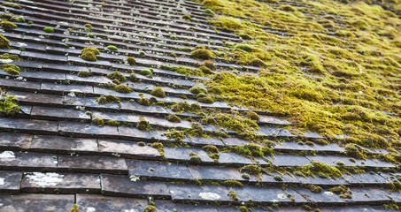 Old stone roof tiling with moss