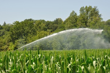 Water sprinkler installation in a field © Heliosphile