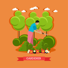 Gardener trimming bush, vector illustration