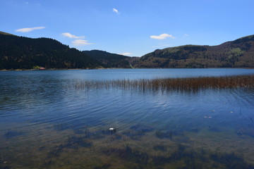 Abant g&ouml;l&uuml;