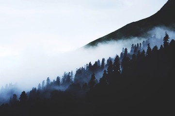 Dark mountains in the fog. Smoky mointains 