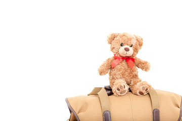 Teddy Bear doll on vintage messenger bag.