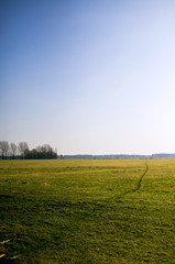 Obraz premium Feld mit Weg