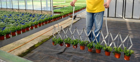 Banner Gartenbau Aussetzen bzw. Rücken