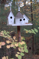 Birdhouses, Massachusetts