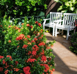 Walkway with bench in the Day Butterfly Center in Callaway Gardens Georgia