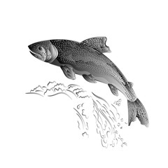 Trout jumps  in stream salmon-predatory fish as wrought metal vintage vector illustration