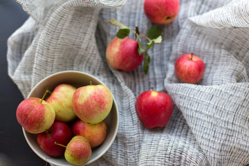 home garden apples on a light fabric red