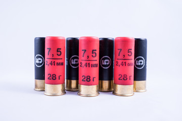 12 gauge rounds on white