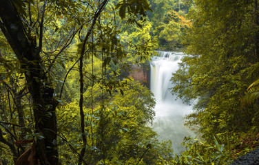 Fototapeta na wymiar Waterfall in rain forest of Thailand, Hewsuwat waterfall in Khaoyai national park