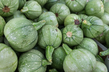 Round zucchini at the city market